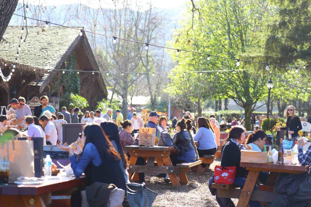 lots of people sitting on picnic benches in the Napa Valley eating and drinking 