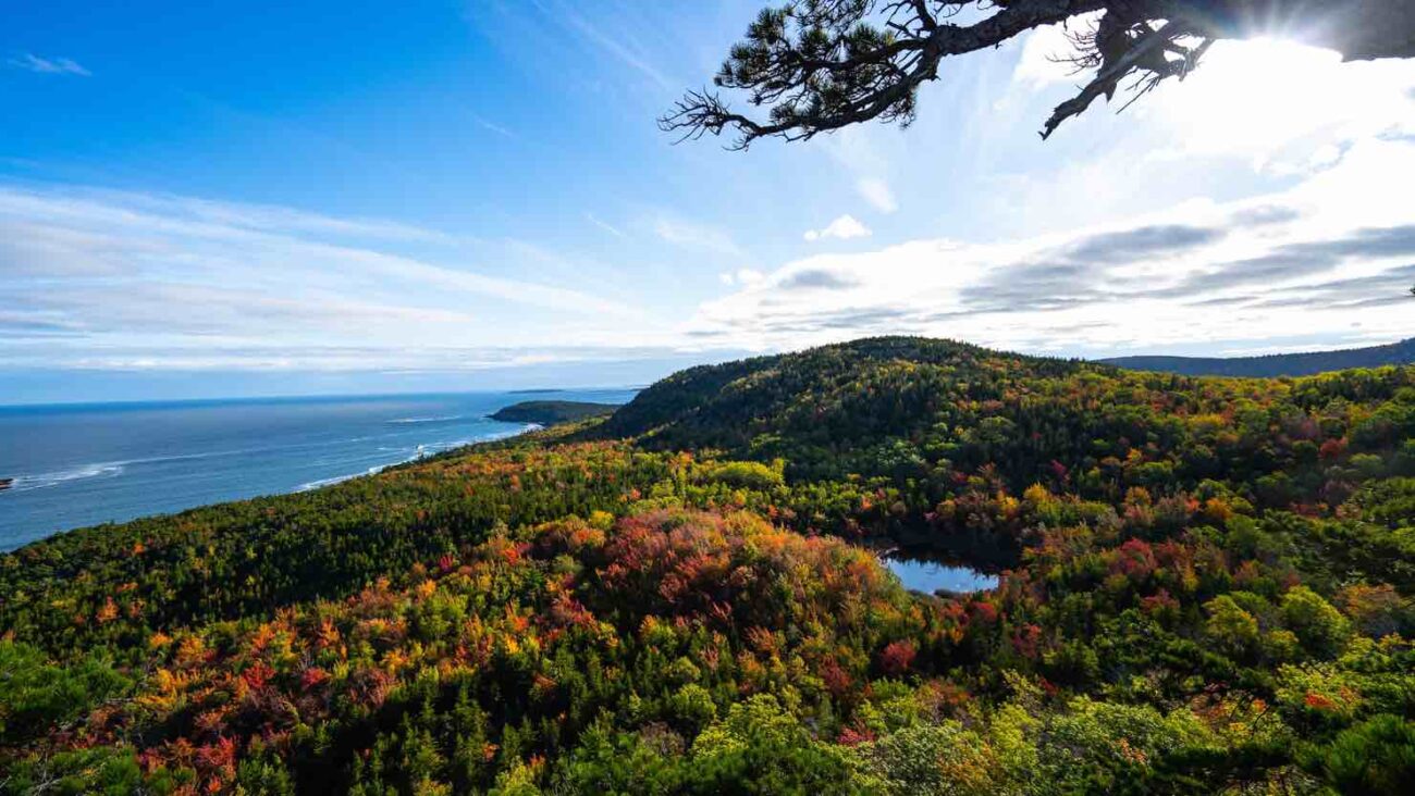 a view of bar harbour from above showing all the trees in different colors with the autumnal change taking place. The shore line and water seem calm and serene